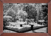 /album/fotogaleria-girona/f-4-inpixio-640x480-jpg/